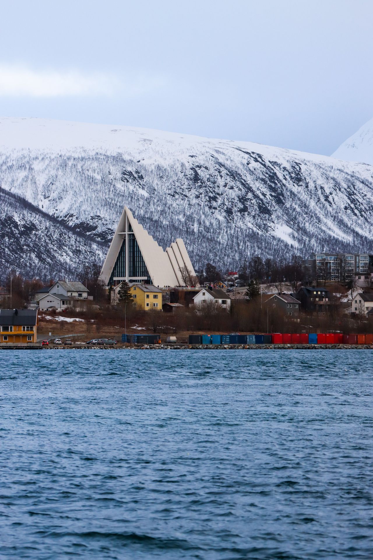 The Arctic